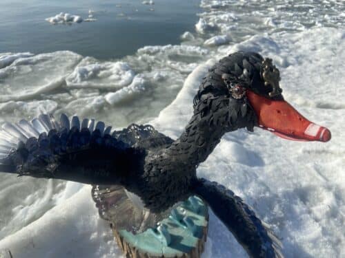 Sculpture, Black Swan, Nathalie Trepanier