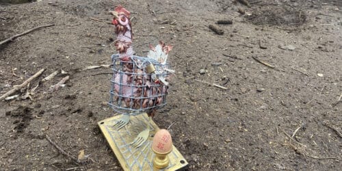 Sculpture, Poule en cage, Nathalie Trepanier